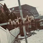 Hus Skov & Salt Prázdninový dům